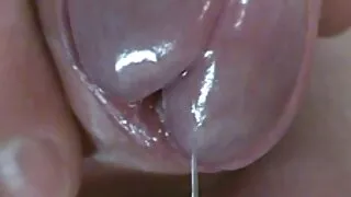 Brunette babe sukad oli hommikul sugu